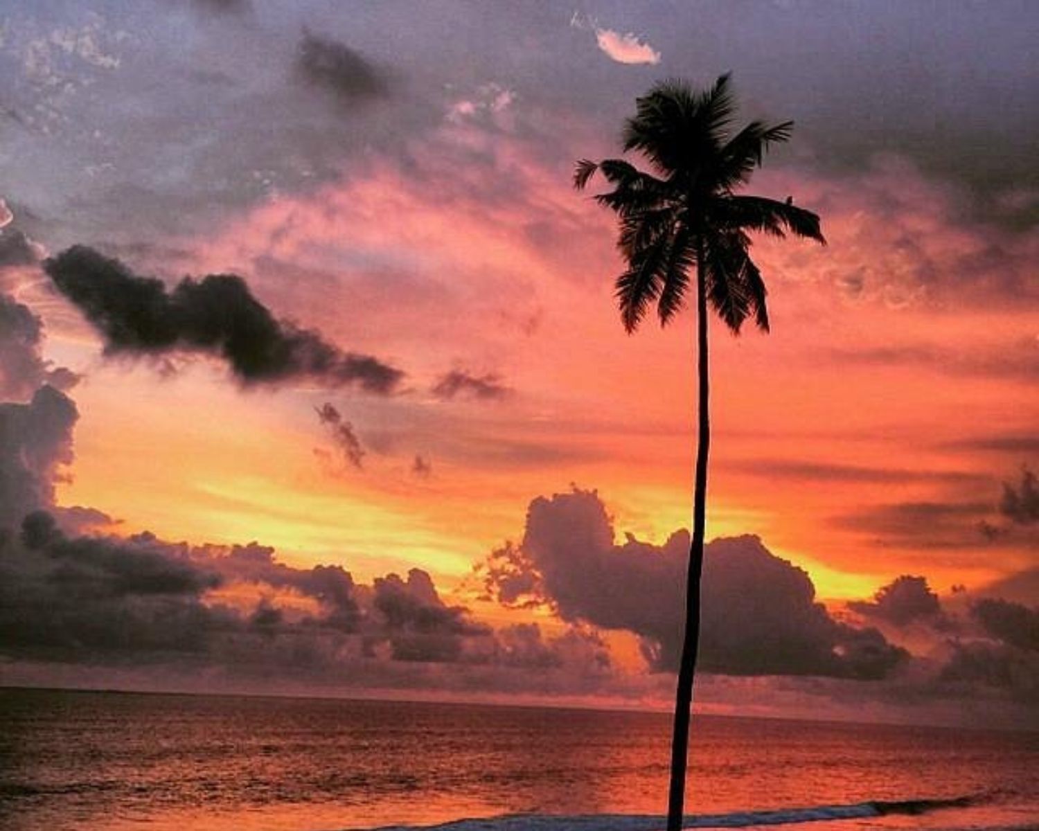 Exploreyoga-Experience-Beach-1