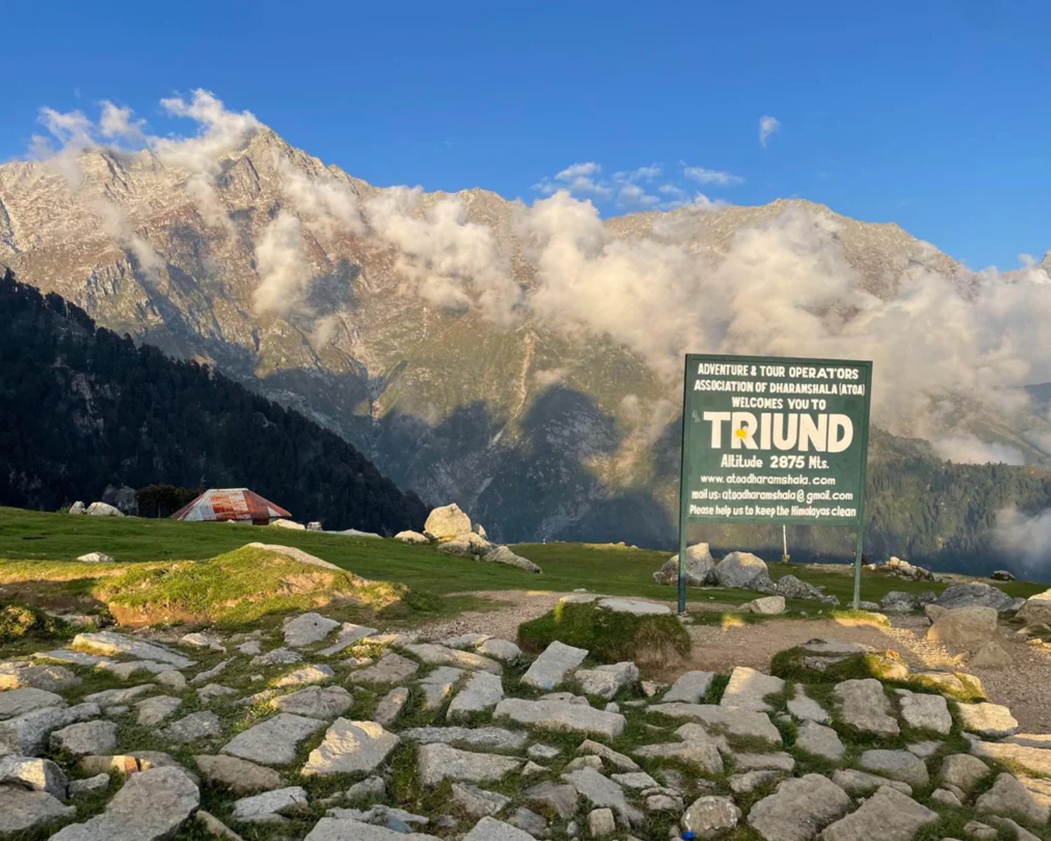 exploreyoga-experience-triund-1