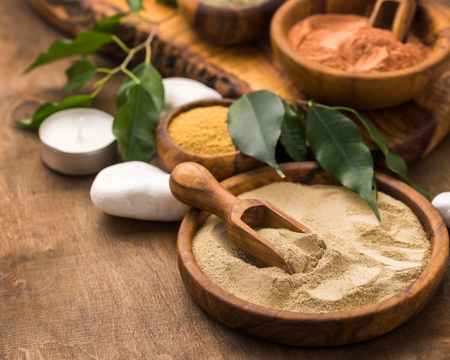 exploreyoga-experience-ayurvedic-therapy-11