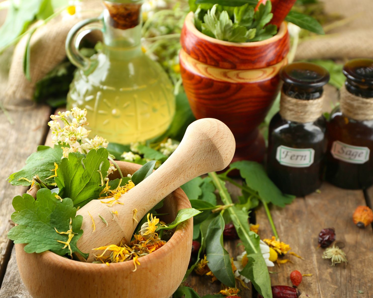 exploreyoga-experience-ayurvedic-therapy-13